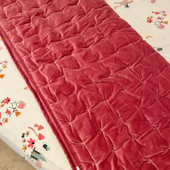 Crate & kids velvet crib quilt